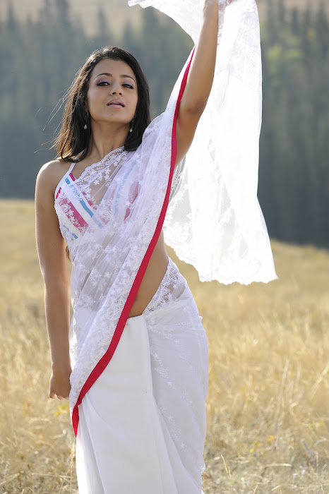 trisha in transparent saree unseen pics